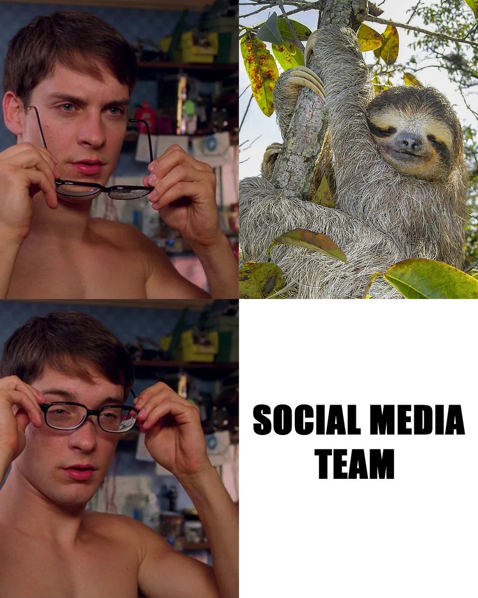 Twareg Esports tweet media