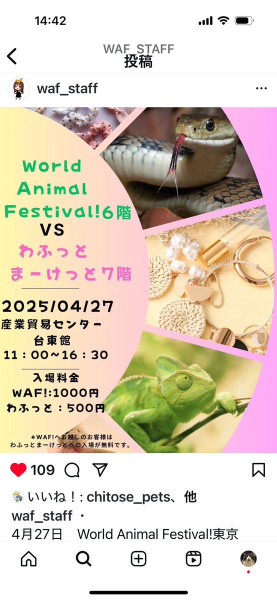 Lilywildrep's tweet image. おはようございます😃
うちの子グッズのLily wildです😉
少しずつ暖かくなって来ましたね🥰
お出かけの季節です。
フェスなども始まって来ました。
当店も出店スタートです✌️
4/27日(日)
World Animal Festival!
さんに出店します❗️
ハンドメイドのイベントも併催されるとの事、楽しみです🥰