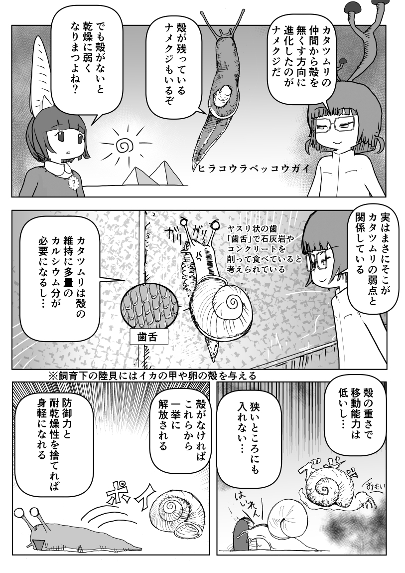 突然の帯状疱疹にかかってしまってしばらく新作が描けないので、過去回を再掲するぞ。
「カタツムリ」2/2
#クック先生の動物講座 #漫画が読めるハッシュタグ #マンガが読めるハッシュタグ 