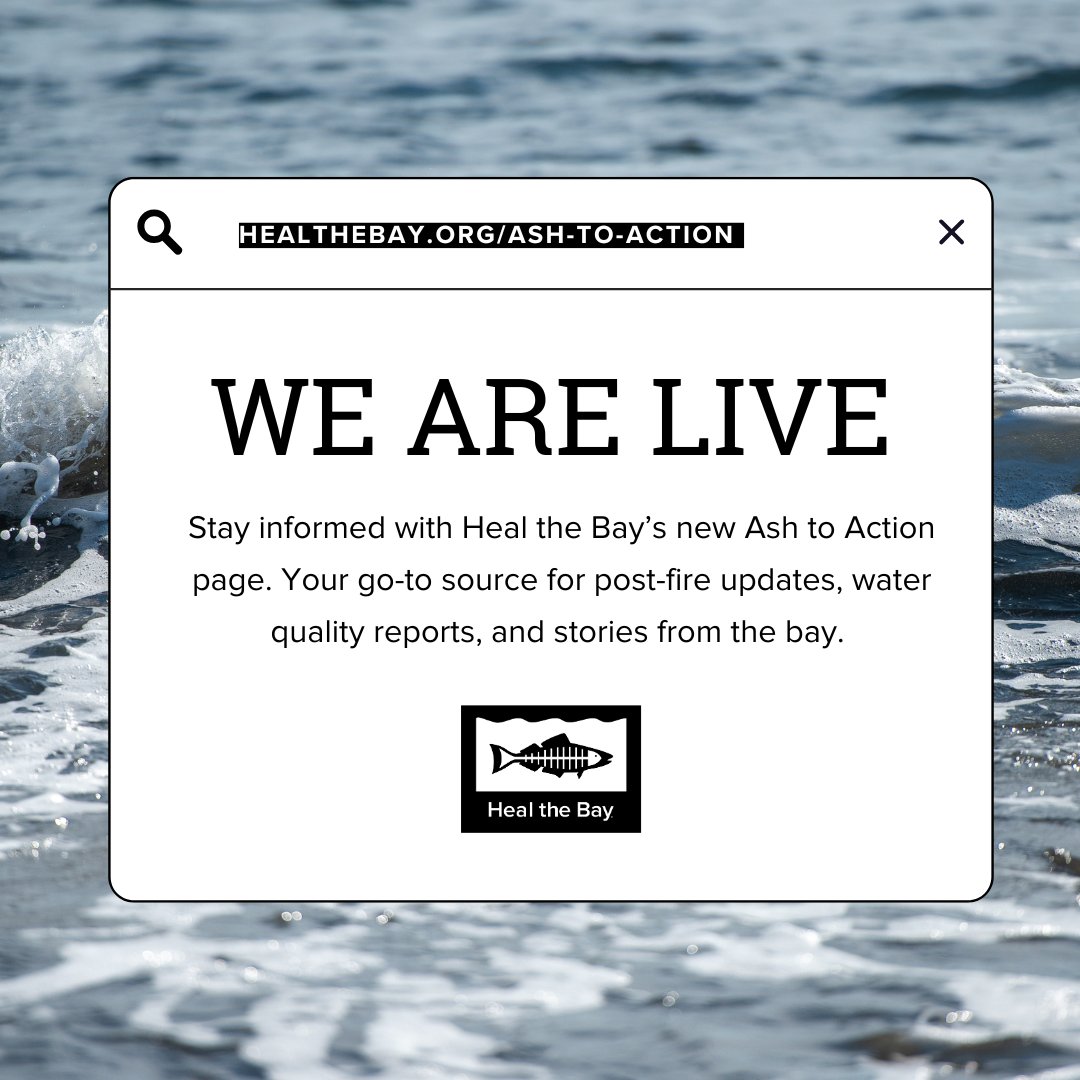 For months, Heal the Bay has been leading post-fire beach safety and water quality analysis. Now, you can easily access the latest updates from our Water Quality Team on our refreshed 'Ash to Action' page. Visit Healthebay.org/ash-to-action for all current information.