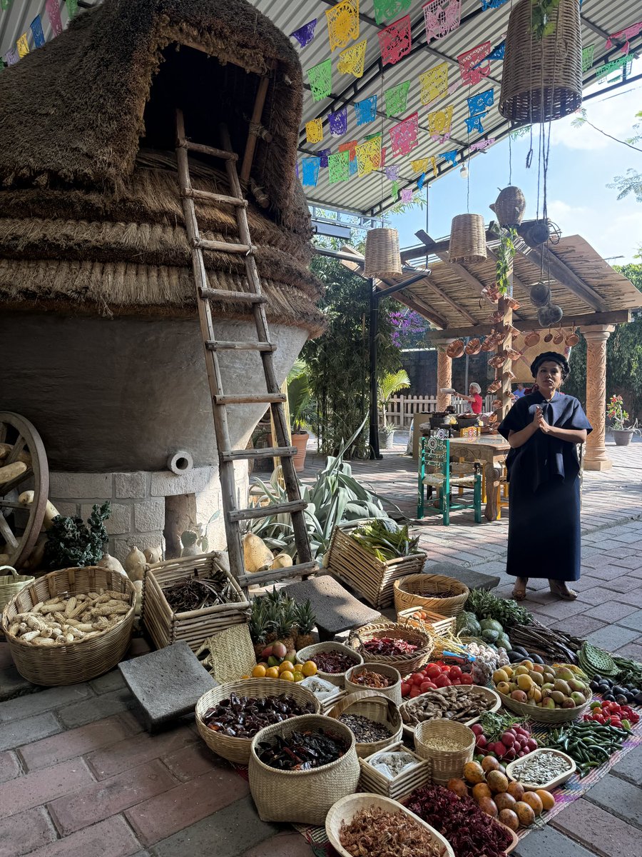 Sara Pablo Nava tweet media