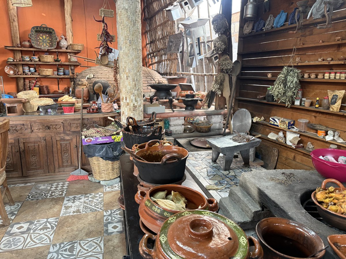 Sara Pablo Nava tweet media