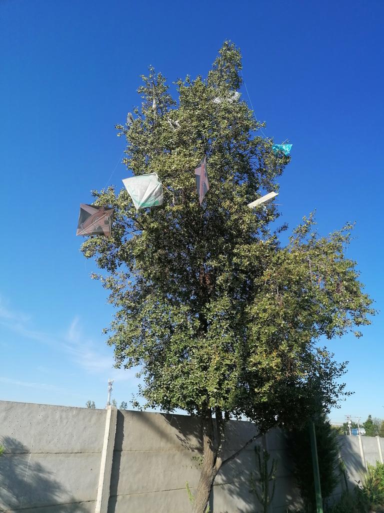 rodrinitos's tweet photo. @Carabdechile persiste el problema de volantineros con hilo curado,  cerro el plomo con padre Hurtado, a pesar de varias denuncias a carabineros, seg. Cudadana, plan cuadrante 82. no hay solución.  3 niños cortados con hilo curado. https://t.co/BUtVMQlvPt