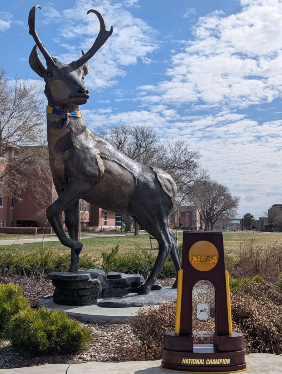 loperwrestling's tweet image. HOME