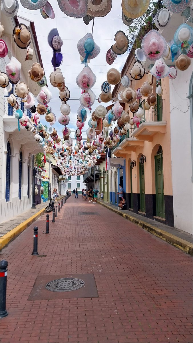 Panamá un destino por descubrir Contáctanos al WhatsApp +507 6948-2563 vivepanamatours