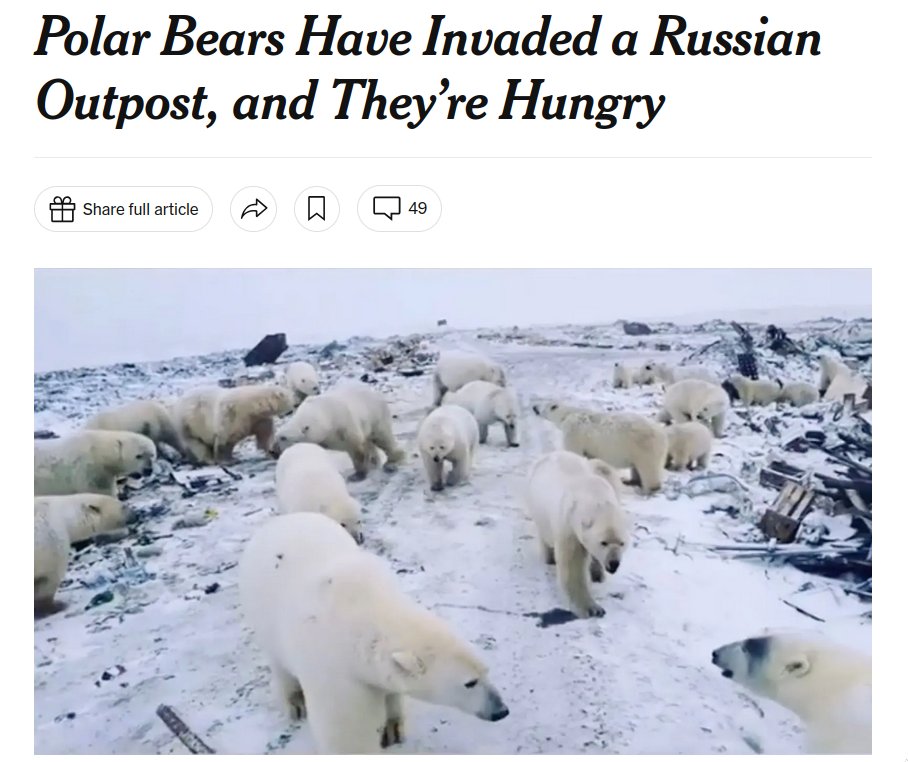 Хахаха tweet media