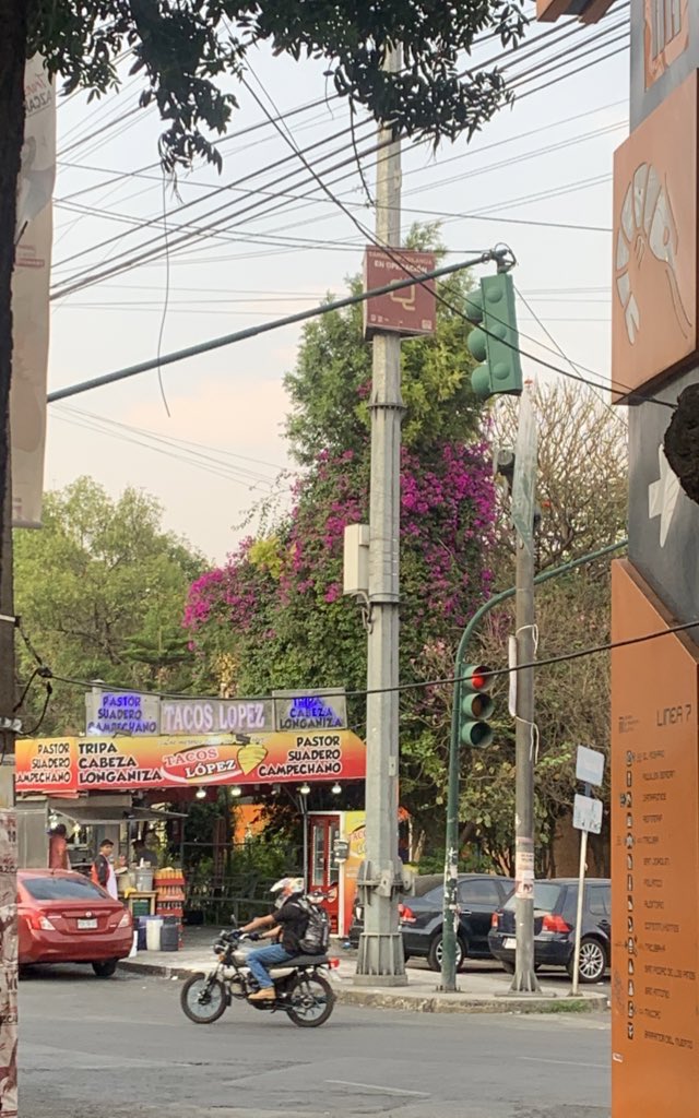 cumbia de nadiablita tweet media