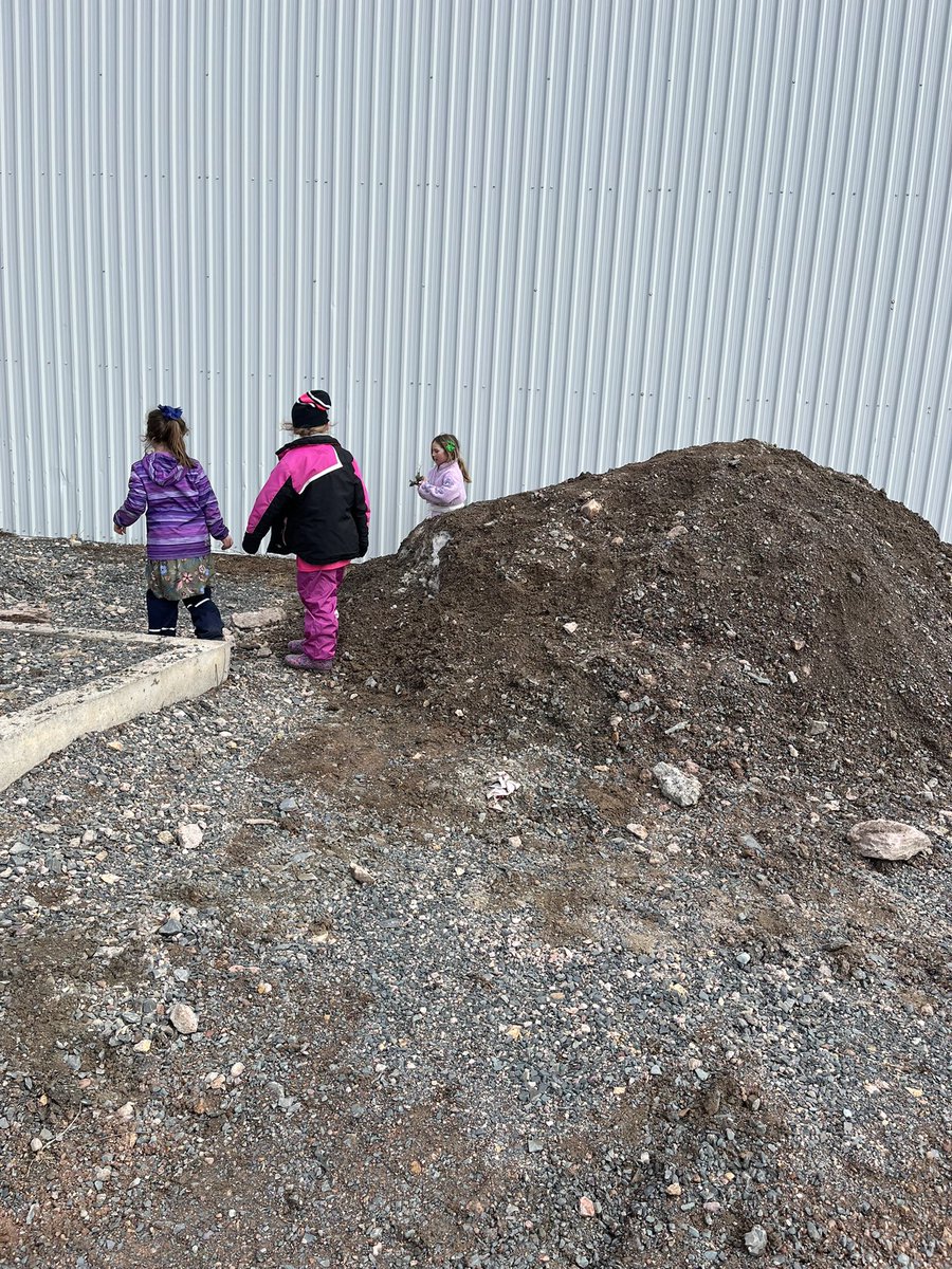 CrystalMHowell's tweet photo. Dart outdoors! Human knots, scavenger hunt and the teachers even joined in for a game of tag! @NLSchoolsCA @NLTeachersAssoc #NLEduWeek2025 #AdventureInLearningNL https://t.co/IKqyG27MdX