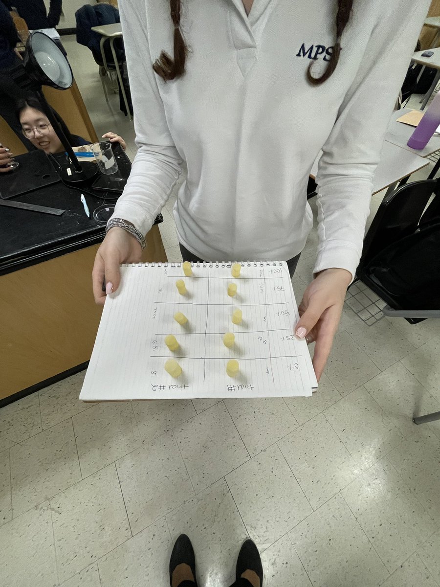 Our gr 11 IBs investigate the osmotic potential of 🥔🥔 with the infamous “potato lab”. It was hard to top the stopper-density lab from earlier this year, but we somehow managed to. #mpsjbio <a href="/MPSJ_TCDSB/">Michael Power/St. Joseph High School</a> <a href="/PowerIB/">MPSJIB</a>