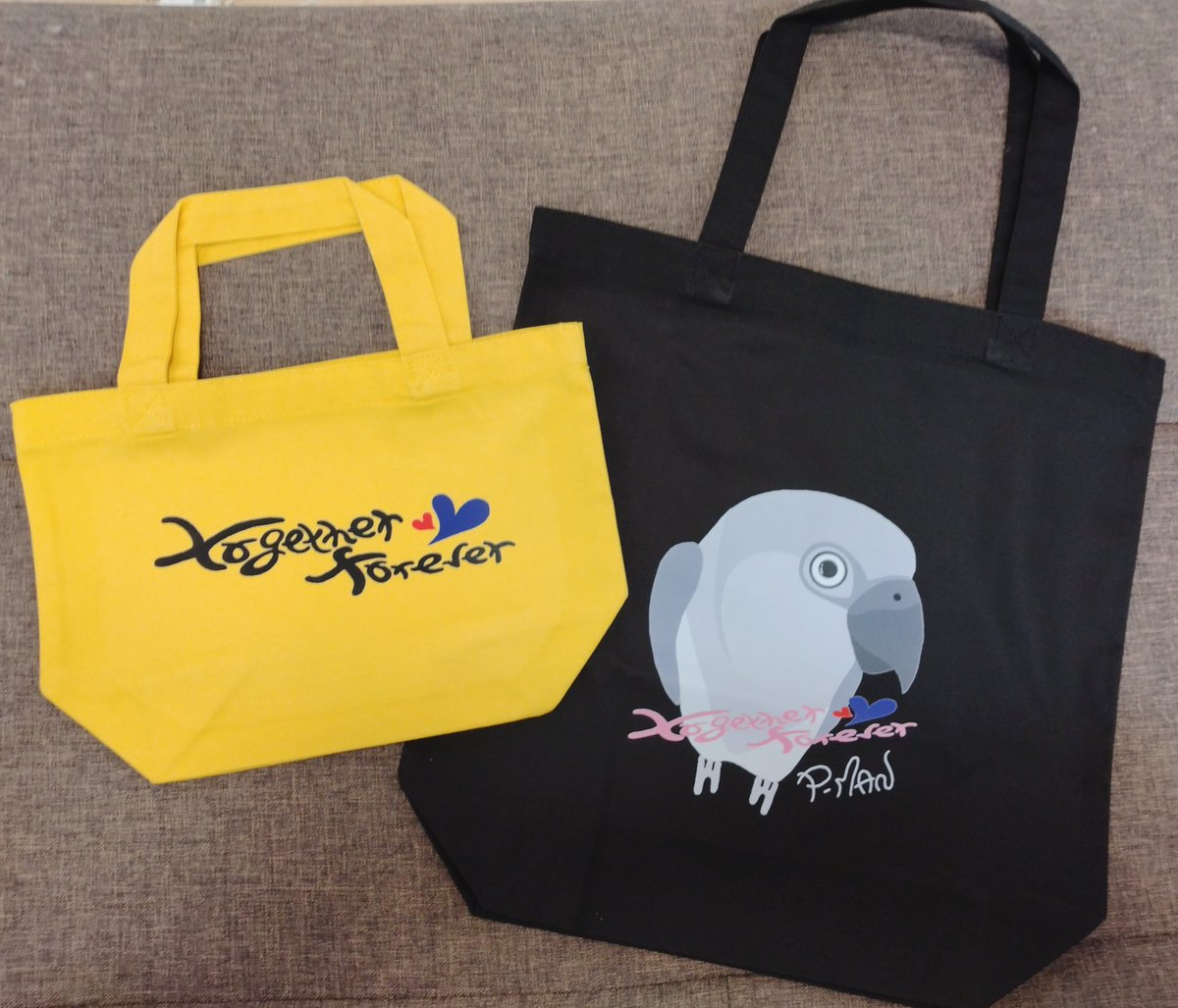 ccnokazoku's tweet photo. ピーマン君の目力
最高っ‼️🤣👍

#ネズミガシラハネナガインコ
#セネガルパロット
#インコ
#together·forever https://t.co/UQmV1348KP
