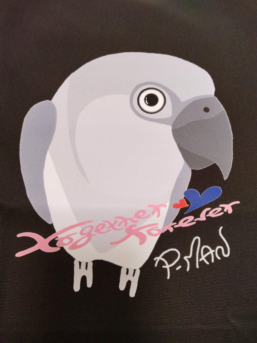 ccnokazoku's tweet photo. ピーマン君の目力
最高っ‼️🤣👍

#ネズミガシラハネナガインコ
#セネガルパロット
#インコ
#together·forever https://t.co/UQmV1348KP
