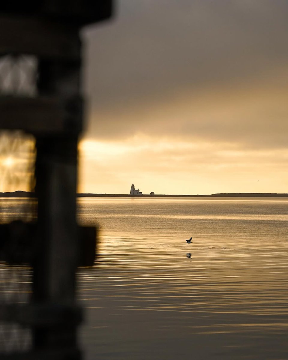 Welcome PEI tweet media