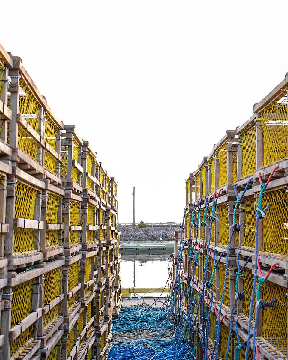 Welcome PEI tweet media