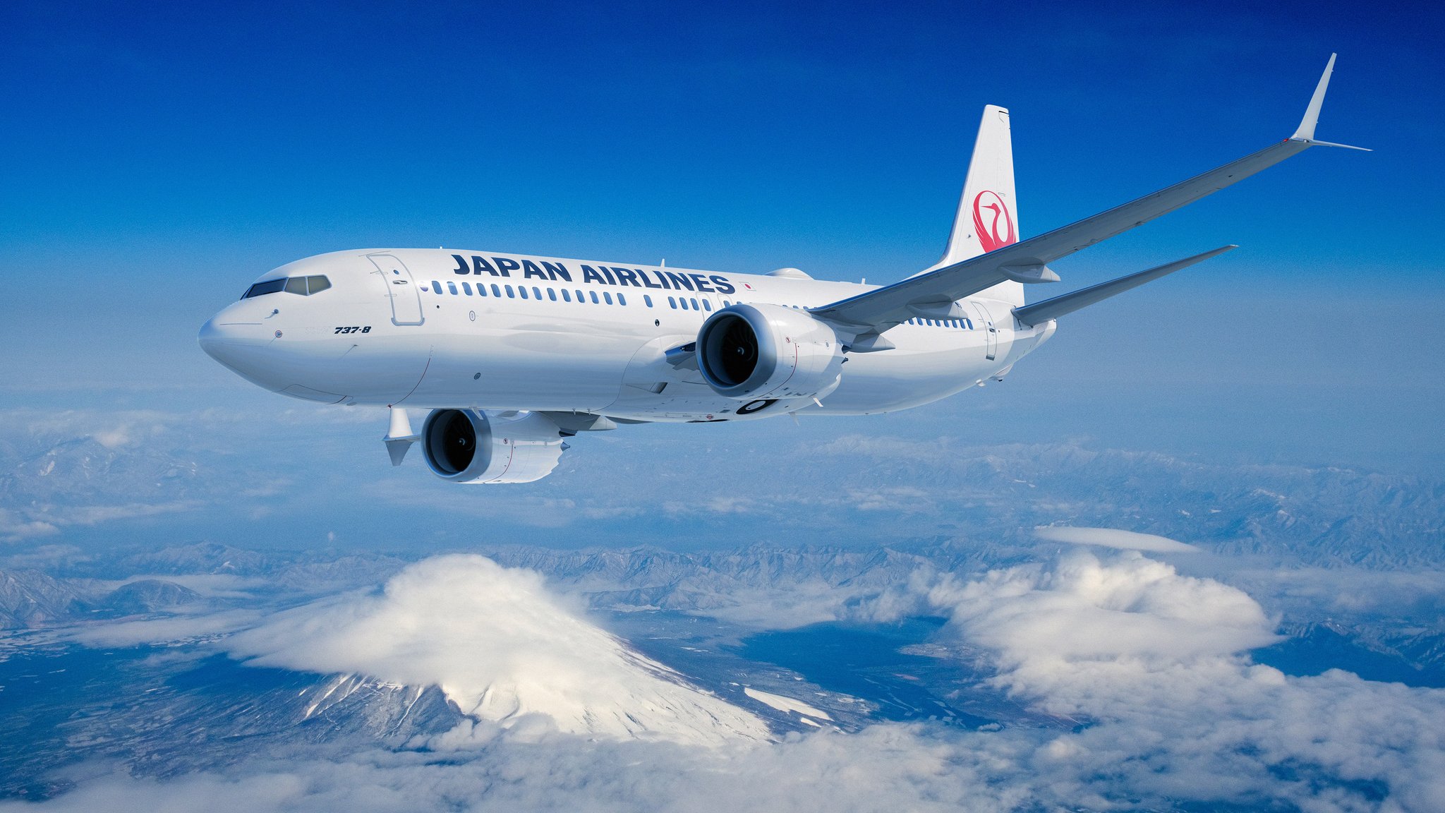 ＡI R  N IＰＰ O N旅客機 B-737 Japan Airlines 737 Ingests Bird And Makes Emergency Landing