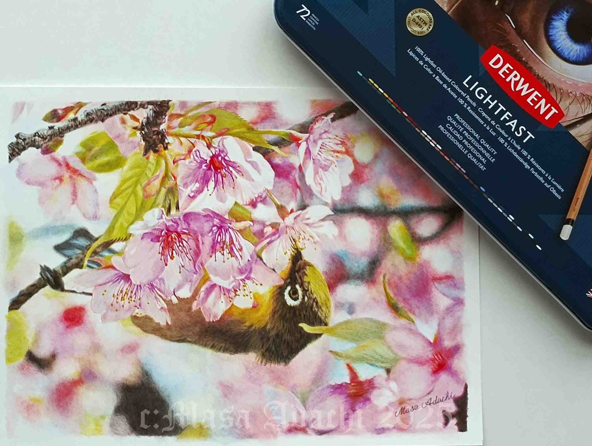 MasaAdachi73's tweet photo. @derwent_japan
春の日差し  F4 #色鉛筆画 
#lightfast
#Derwentの春咲きコンテスト https://t.co/eAnCcKYurd