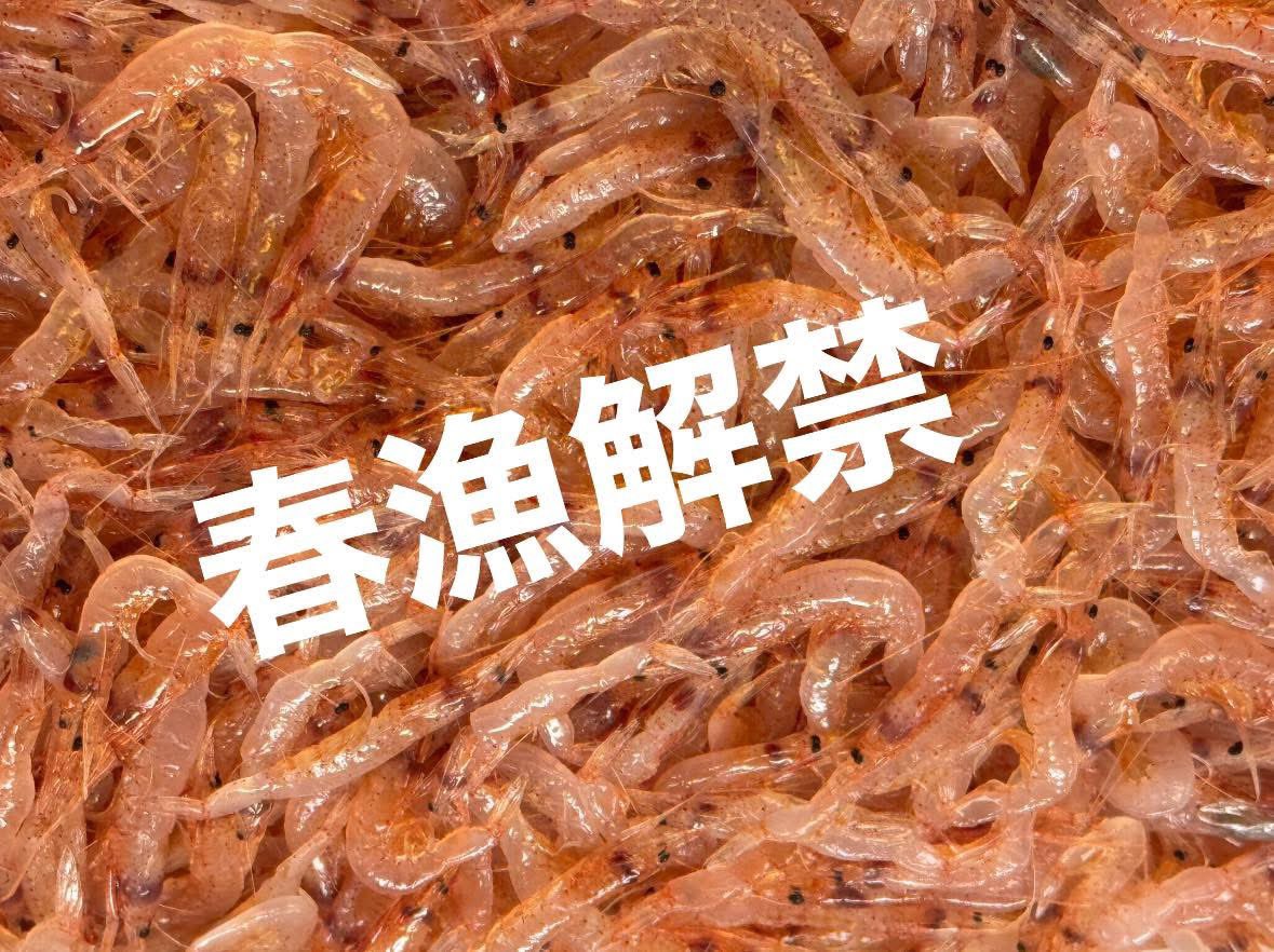 6daimekanekichi's tweet image. おはようございます
3/27 晴れてます
#桜海老 #春漁 #解禁
漁師さんの話しでは解禁となったものの出漁は出来ないみたいで…
#純生 はもう少し待ちですね😅
でも超低温保存の生食用がありますから👍
#駿河湾の宝
#桜海老かき揚げ
美味しい逸品を是非😊
