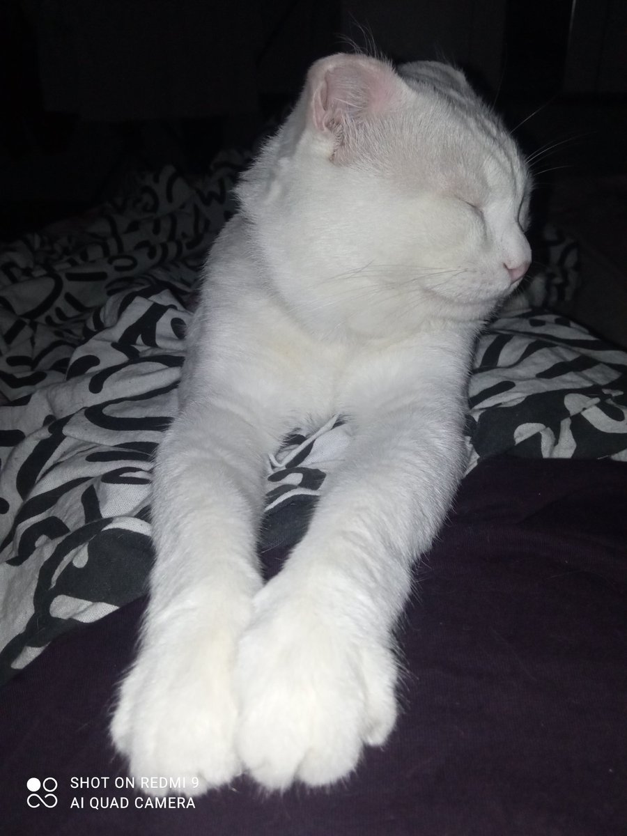 И я заболела, и Шурный-мурмурный заболел тоже
Лежим, кряхтим