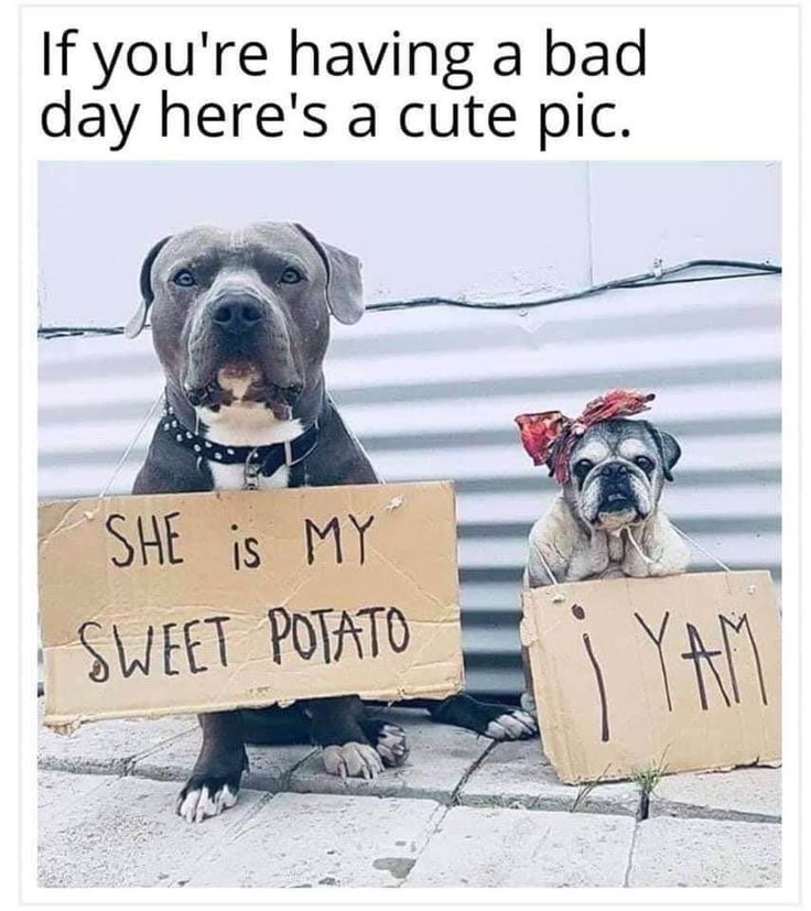 ❤🥰