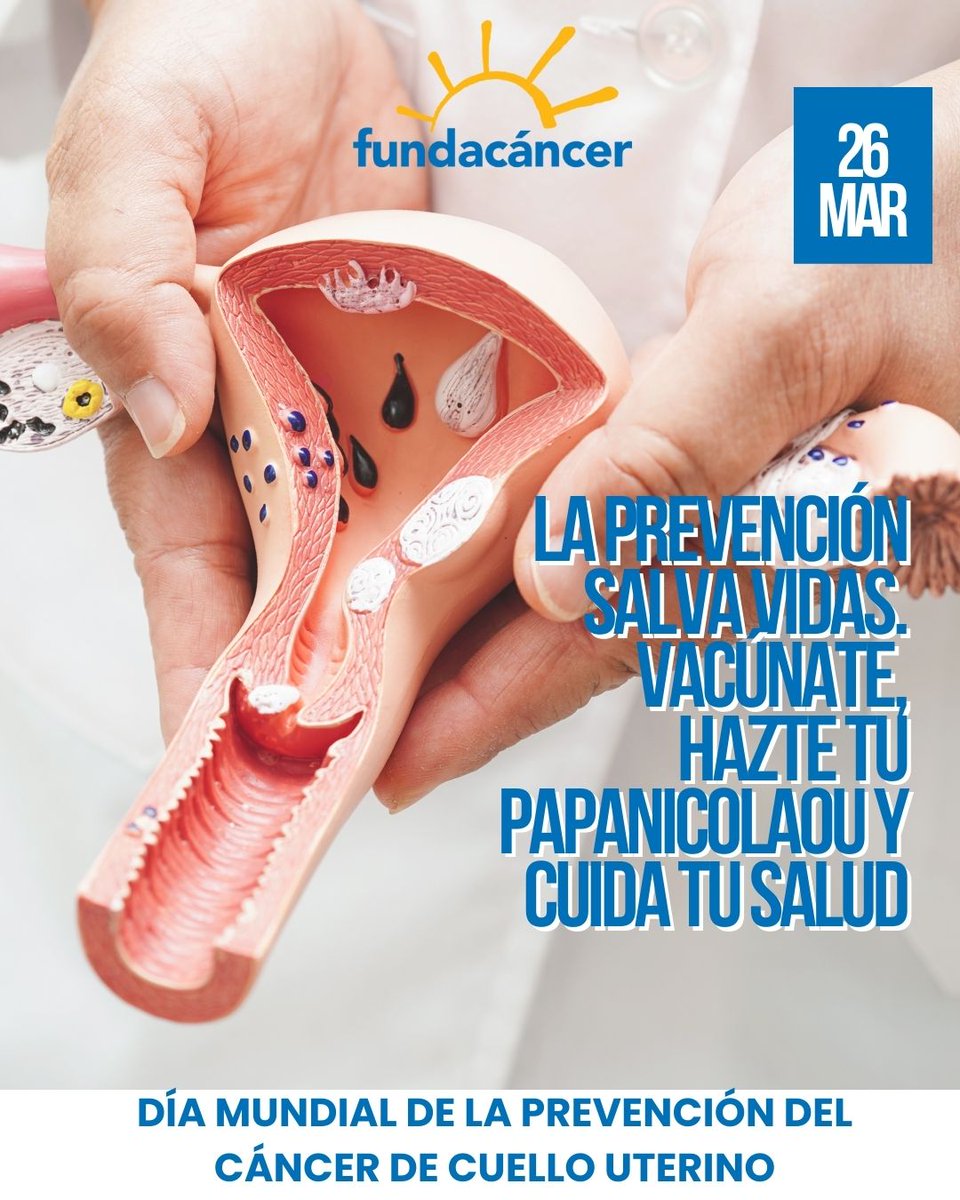 Cada 26 de marzo se conmemora el Día Mundial de la Prevención del Cáncer de Cuello Uterino, una fecha para recordar la importancia de la detección temprana y la vacunación contra el VPH.

El Papanicolaou y la prueba de VPH son herramientas clave para detectar cambios.