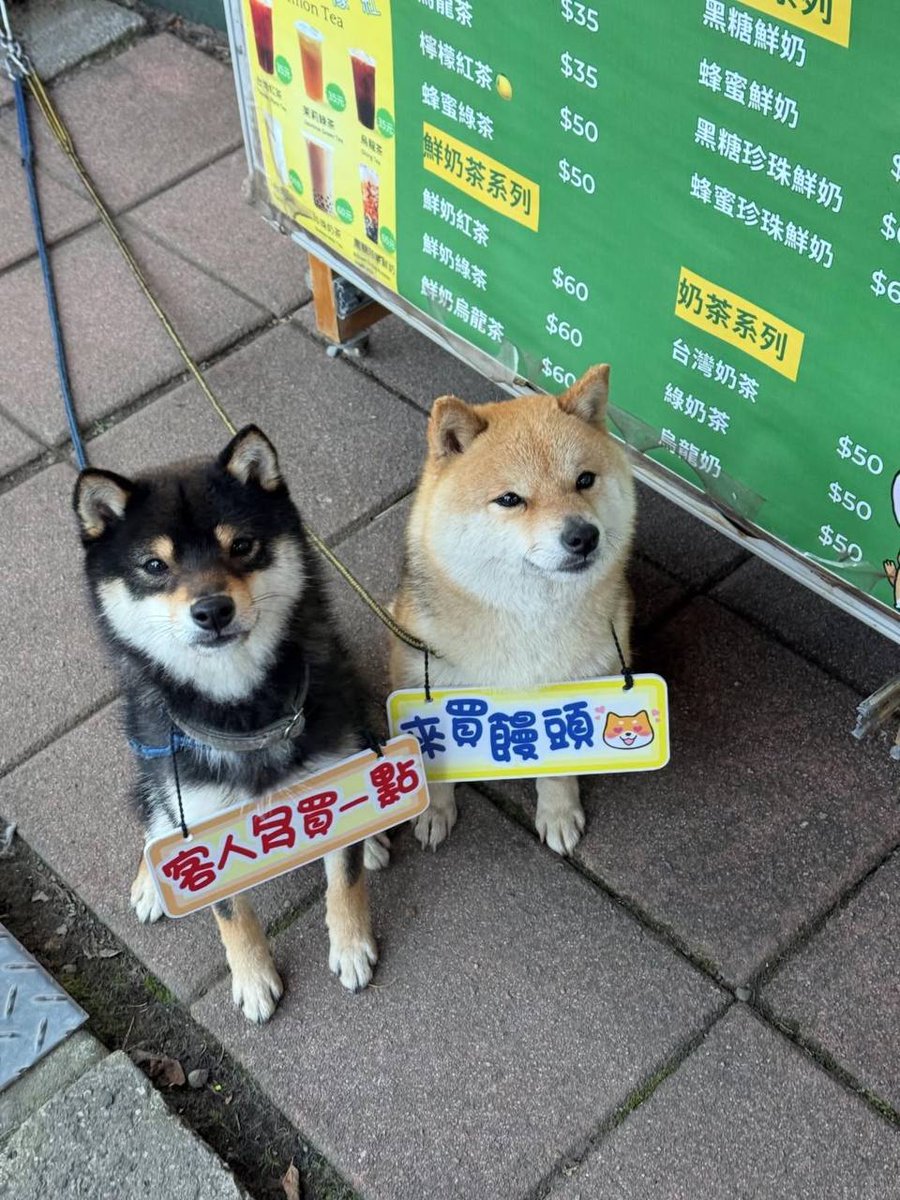1匹は可愛く振る舞って、1匹は注文を急かして、どれだけ買うかは目つきで決まるよ！🐾🥤