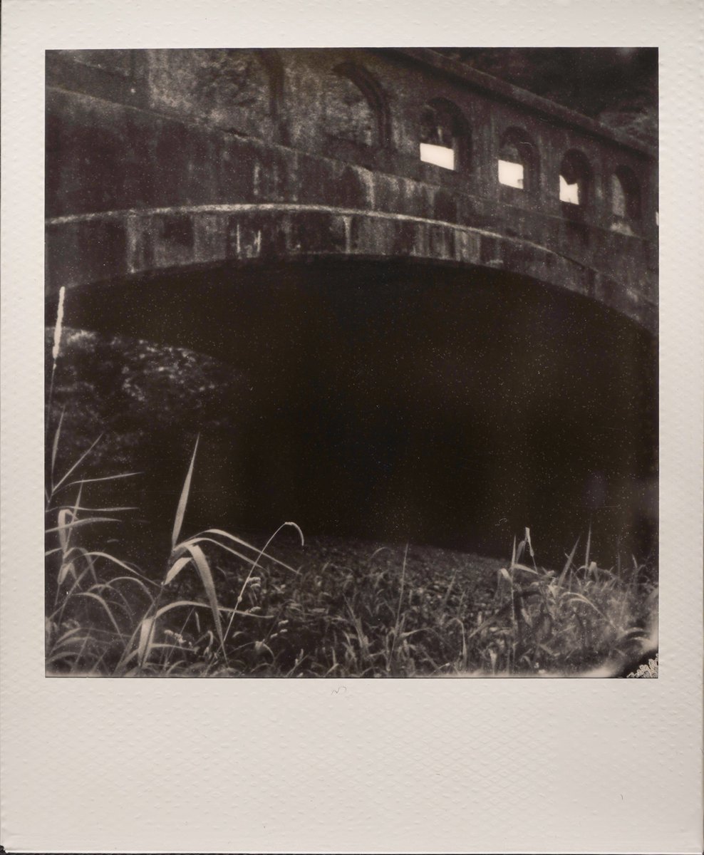 moment_theory's tweet image. historic columbia river highway
-
shot on polaroid onestep autofocus
