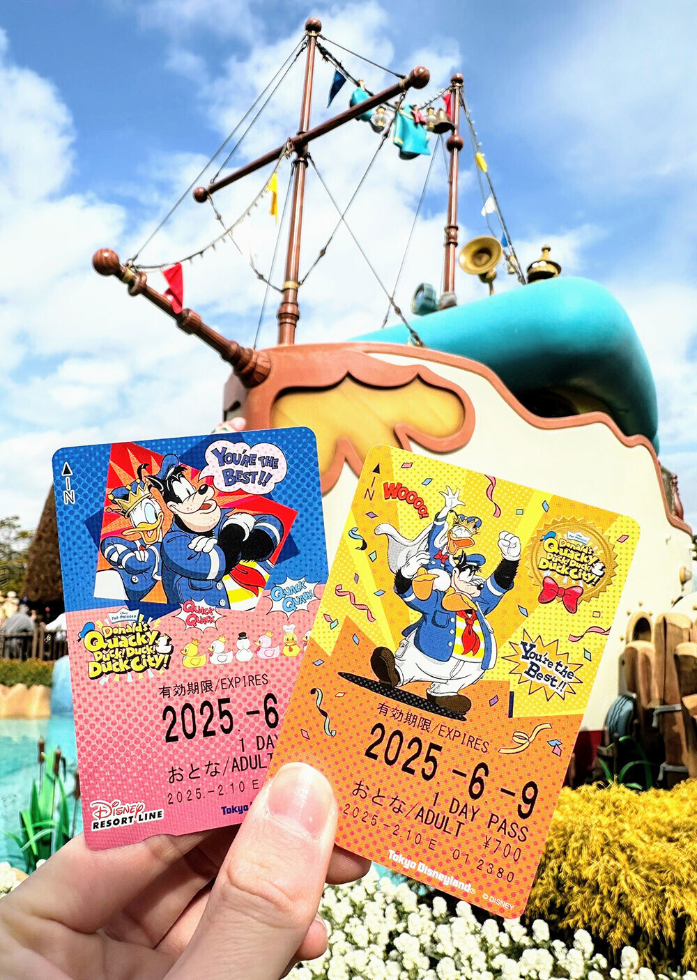 【底値】【激レア】【閲覧数563】東京ディズニーリゾート メダル 2009コンプ 底値】【激レア】【閲覧数563】東京ディズニーリゾート メダル