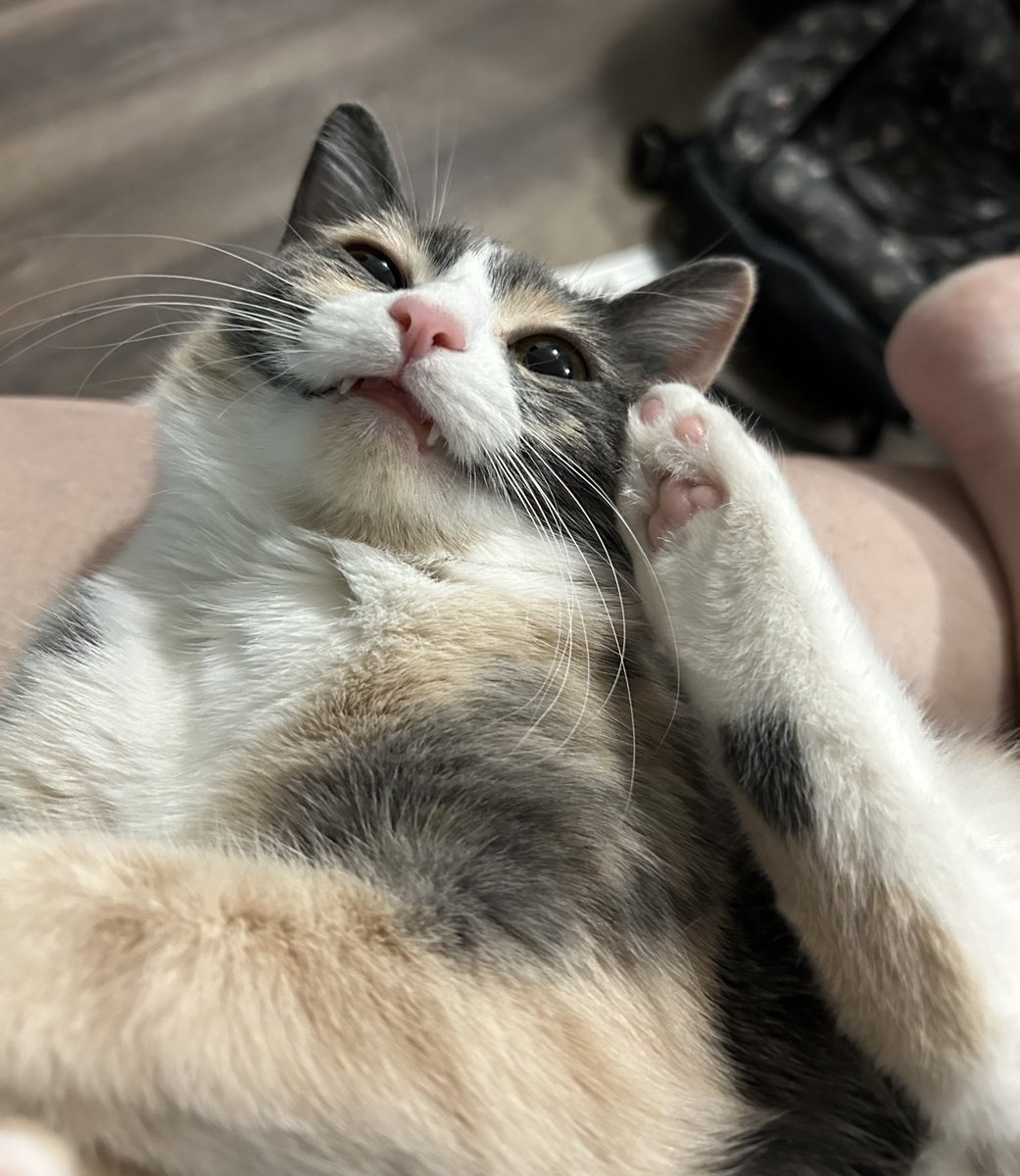 passionfoxx's tweet photo. they’re on the phone 🥰 https://t.co/2USxMJgvOX
