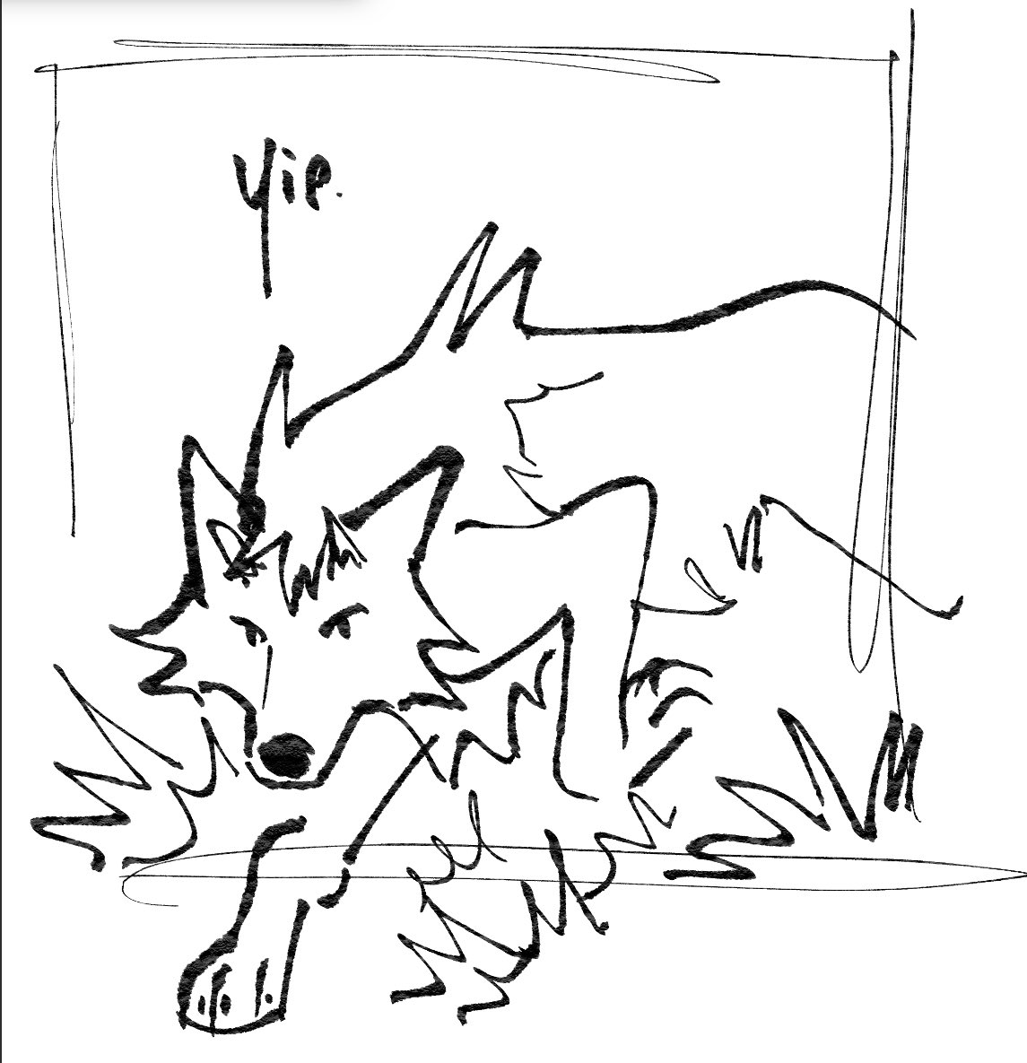 Follow me on bs @/coyoteferns