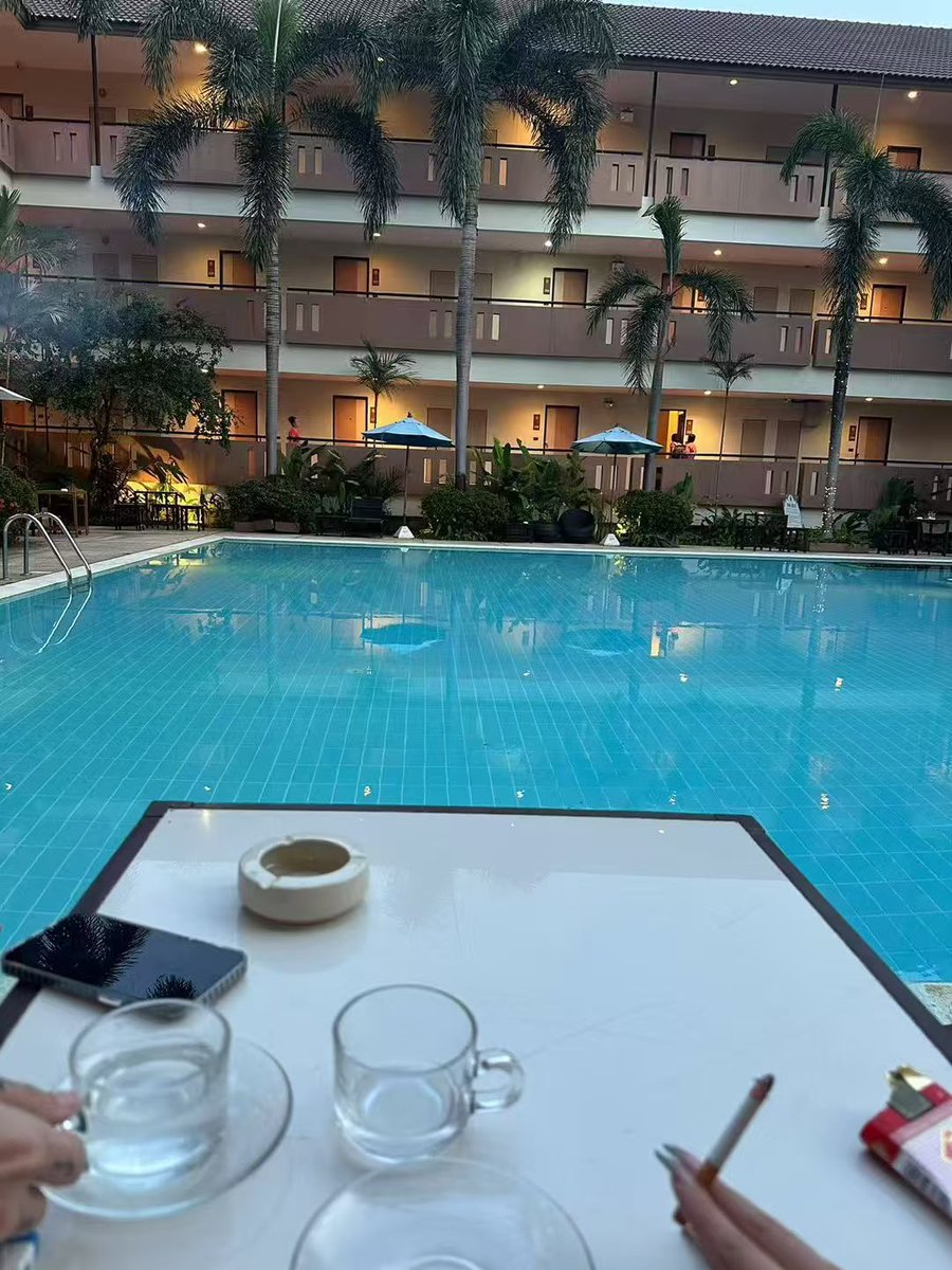 芝士莓莓 tweet media