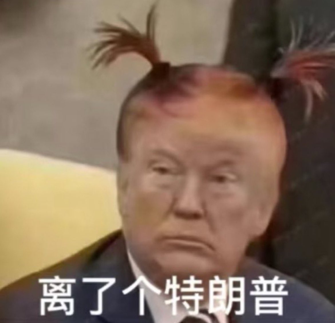 Me when the loan shark that bought my Klarna debt is at my door asking me to choose which arm I want to keep because I can’t make payments on 5 figures worth of cultured French butter, Tabis, trip to Korea for scalp revitalization, monthly hydrafacials, and organic raw feed for