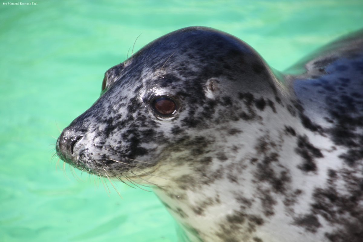 Science Magazine tweet media