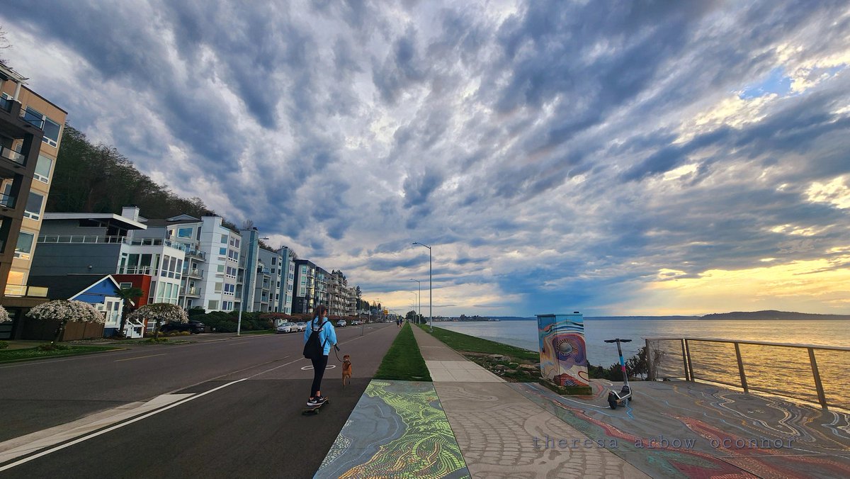 TheresaArbowOC's tweet photo. Cellsnap now on #Alki #wasx #pnw ♡ https://t.co/VKiNvg6rFp