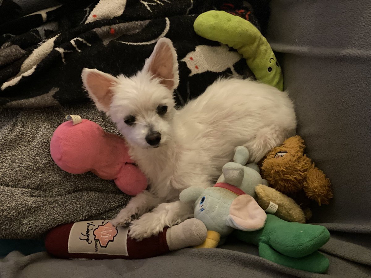 You can never have too many toys