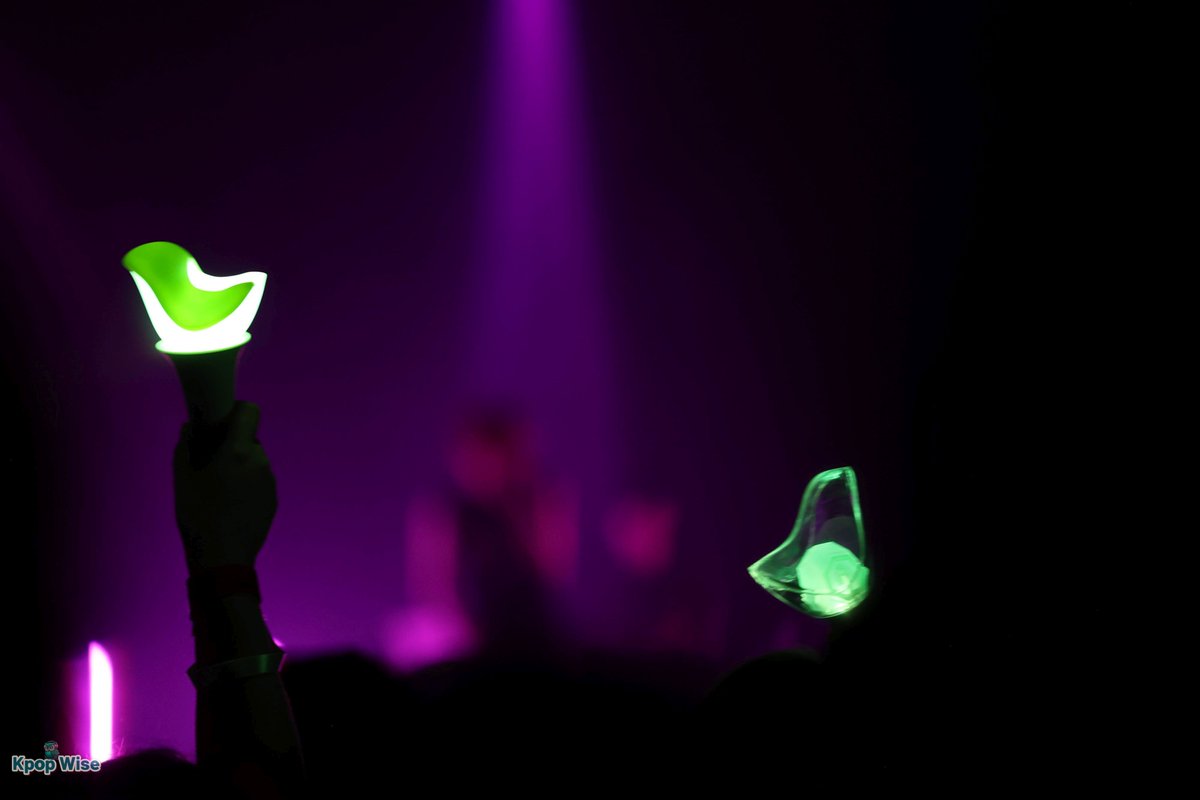 KpopWise tweet media