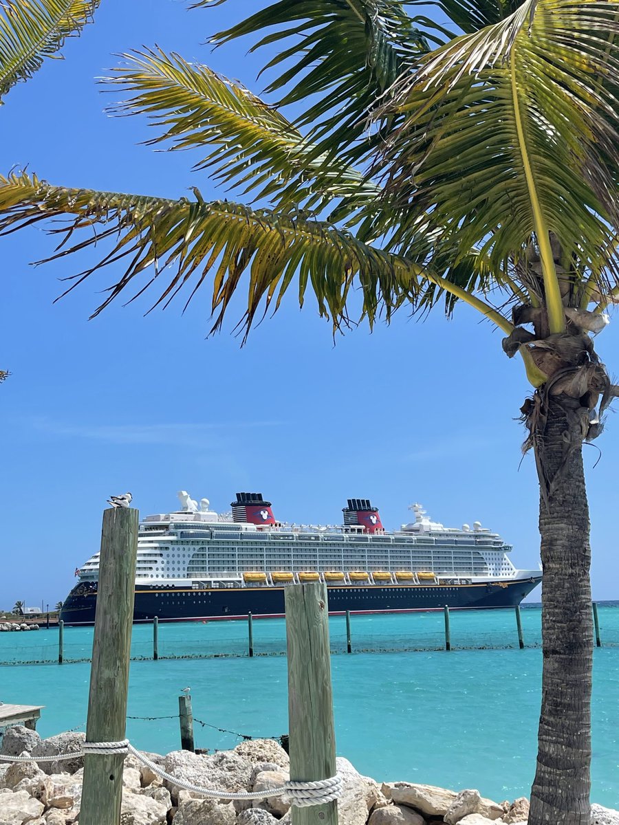 TheMagicForLess's tweet image. 🚢 Set sail on a Disney Cruise Line adventure! Enjoy world-class entertainment, dining, and activities for all ages. Where will your next voyage take you? ⚓️ #DisneyCruise #FamilyTravel