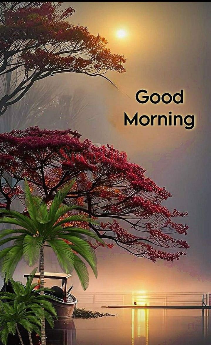 🙏🙏Good morning dear friend 🚩 🧡