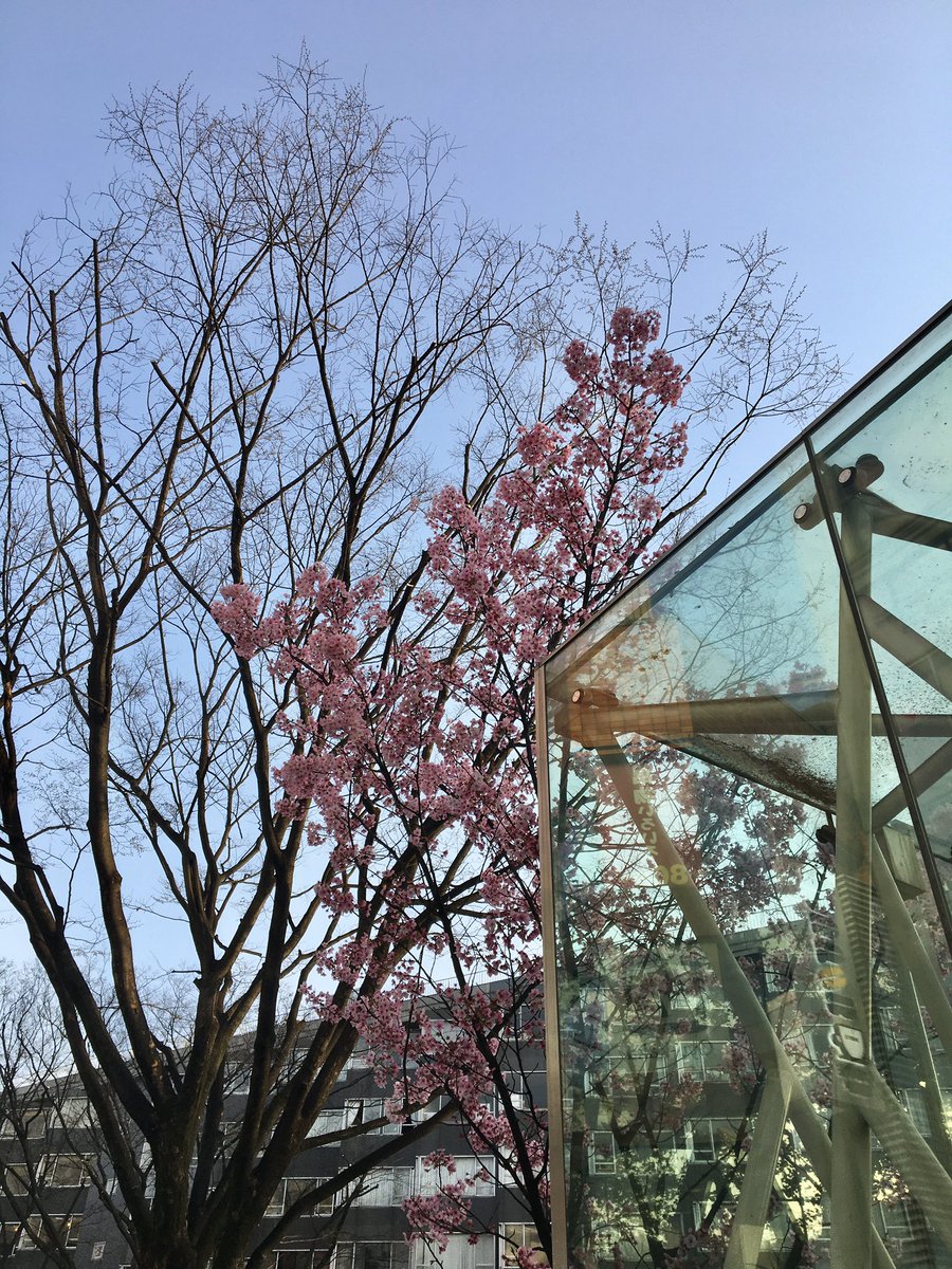 봄이다봄이다봄이다봄이다아아아ㅏ