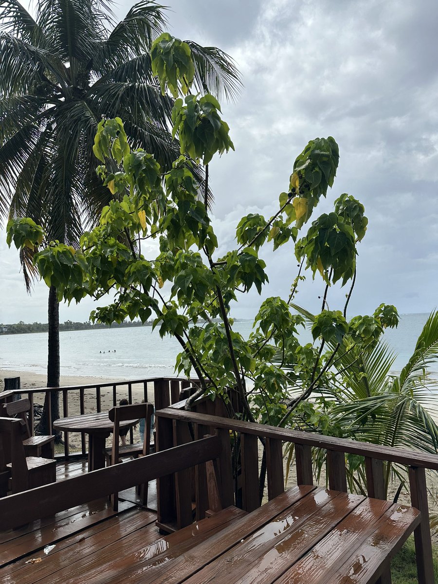 TissyTarnoon's tweet photo. Beach Days https://t.co/kWG9p0x7hi
