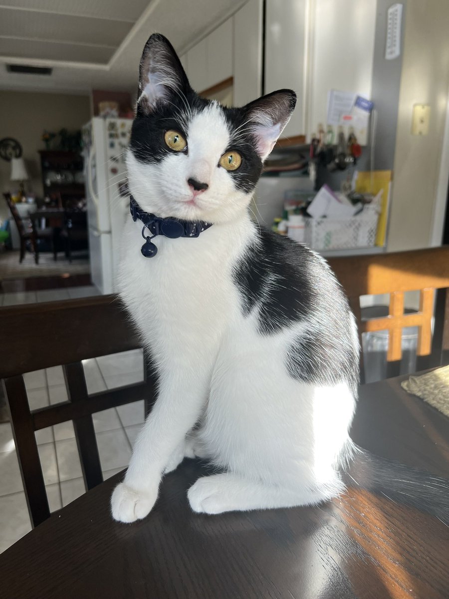 REN 🌟 tweet media