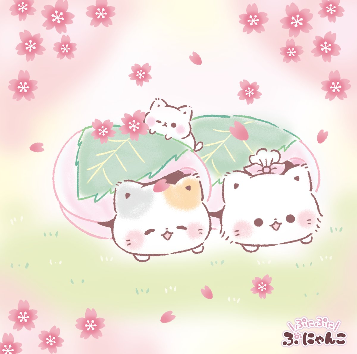 今日は #桜の日 🌸🌸ぽかぽか🌸 一緒にゆっくりしよう🐾ฅ^•ω•^ฅ