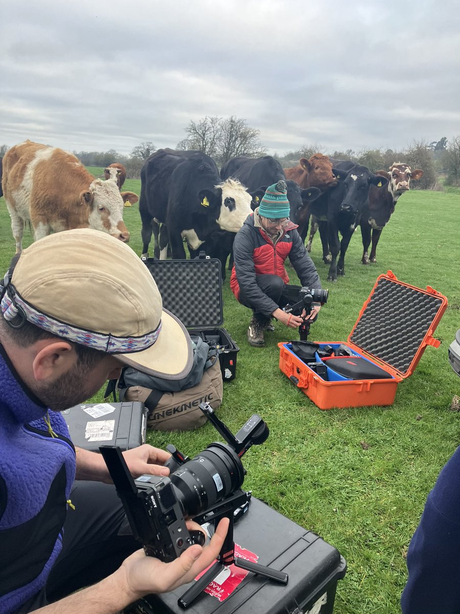 Typical <a href="/BBCCountryfile/">BBC Countryfile</a> morning