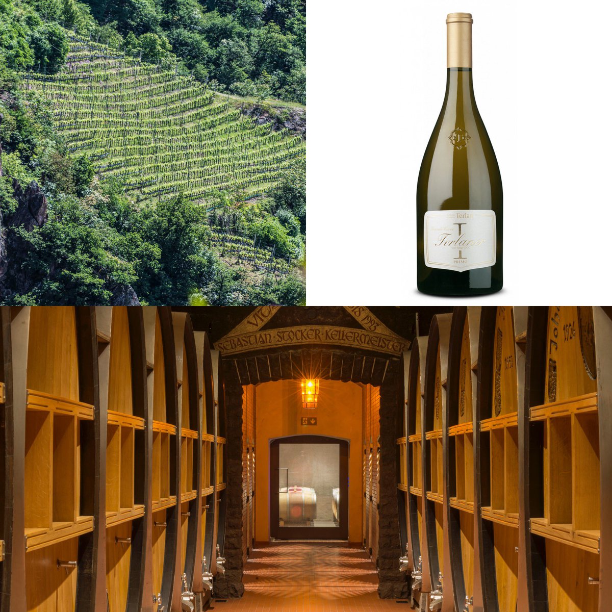 WineNewsIt's tweet photo. Ecco #TerlanerPrimo Grande Cuvée 2022: il vino più prestigioso di #CantinaTerlano, nato dall’annata 2011 e che anno dopo anno raccoglie l’essenza dai terreni vulcanici di #Terlano e la esprime nelle varietà di #PinotBianco, #Chardonnay e #SauvignonBlanc. Oggi questa cuvée è non solo emblema della filosofia enologica di #CantinaTerlano, ma anche un simbolo dei grandi bianchi italiani nel mondo. #KlausGasser, direttore con formazione enologica, sottolinea che “grazie al nostro lungimirante enotecnico Sebastian Stocker, abbiamo ereditato #annatestoriche fin dal 1893, capaci di farci comprendere il grande potenziale del nostro territorio per vini complessi e longevi. Con #RudiKofler abbiamo, poi, deciso di mettere in bottiglia un grande #biancoitaliano con un eccellente potenziale di #invecchiamento. Una sfida ambiziosa: far dialogare la nostra identità storica con una visione rivolta al futuro. Nasce così “Primo”, il miglior risultato della storica Cuvée Terlaner, un vino estremo che, al tempo stesso, esprime l’eleganza di Terlano”. “Proseguire nella realizzazione di una cuvée”, afferma il direttore tecnico ed enologo #RudiKofler, “è stata una scelta sicuramente coraggiosa e in controtendenza rispetto alla storia dei vini bianchi italiani”