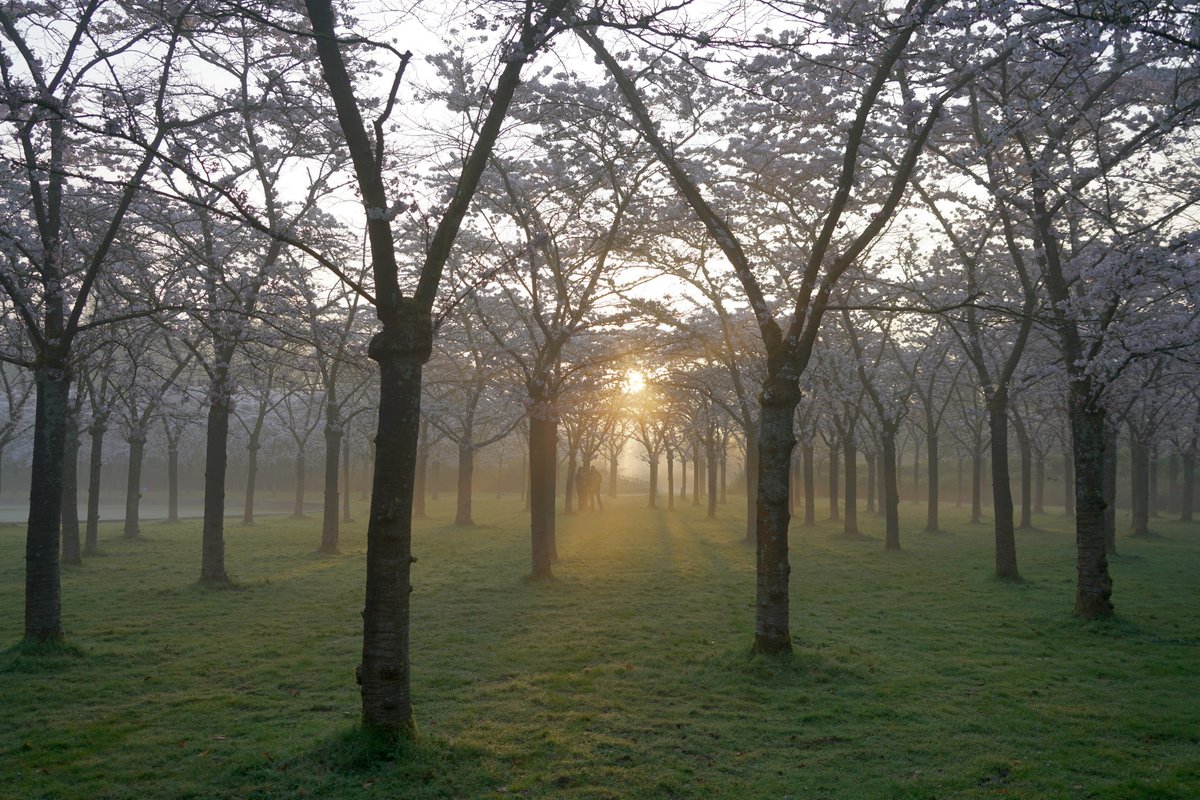 zonsopkomst Bloesemtuin Amstelveen <a href="/mrmiddendorp/">Maurice Middendorp</a> <a href="/BuienRadarNL/">Buienradar</a> <a href="/WilliamHuizinga/">William Huizinga</a> <a href="/weermanrobert/">➡️ Robert de Vries</a> <a href="/jordiweerman/">Jordi Huirne</a>