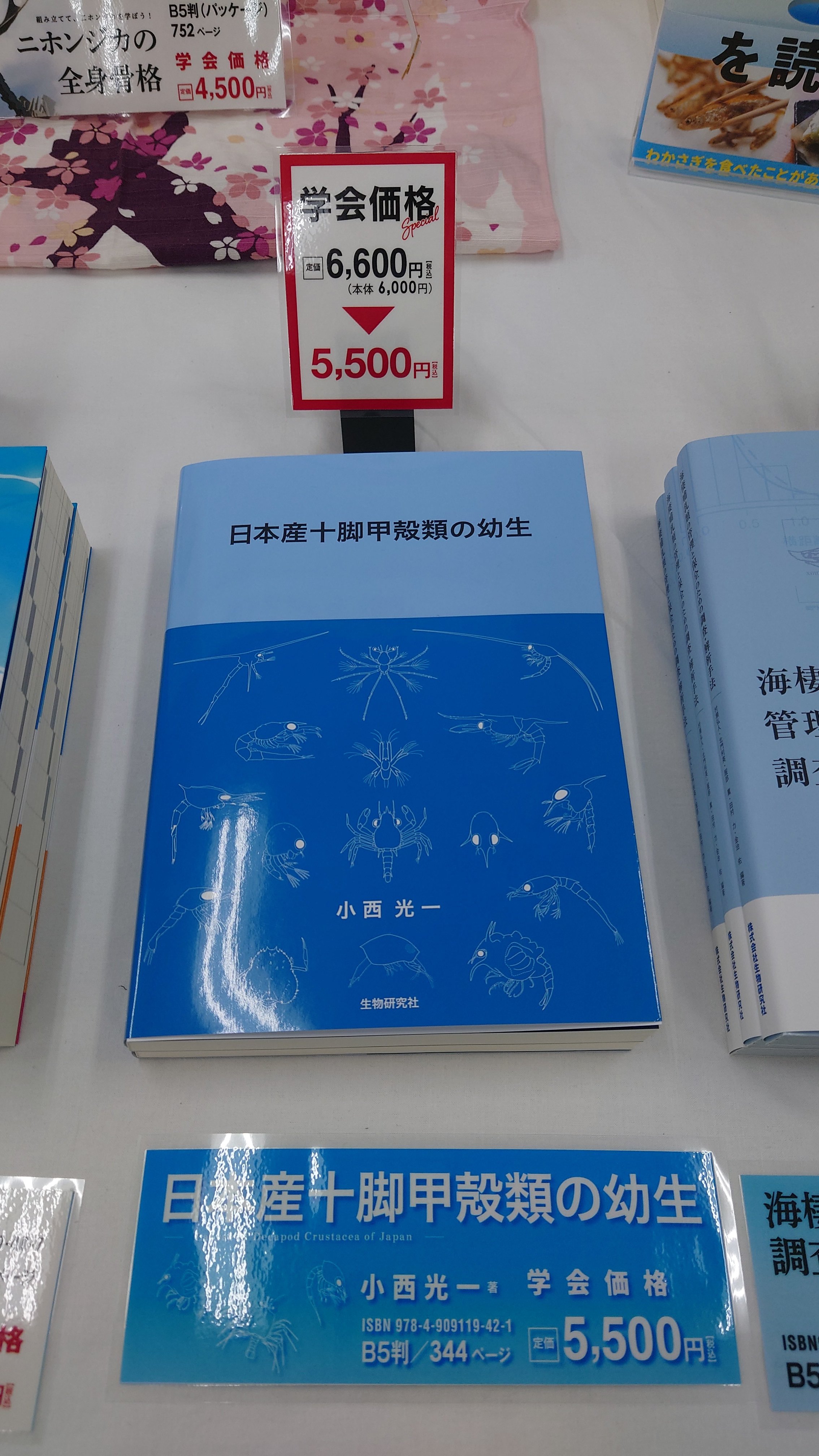 🐙生物研究社(海洋と生物)🐟 (@aquabiology) / X 🐙生物研究社(海洋と生物)🐟 (@aquabiology) / X