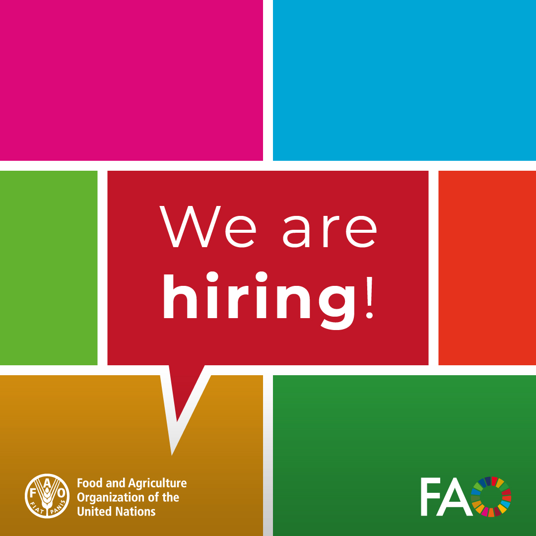 FAOLaoPDR's tweet image. 📣 Job Opportunity! 📣
FAO is hiring a Legal Specialist for the Sustainable Wildlife Management (SWM) Programme in Vientiane, Lao PDR! 🇱🇦 Legal background req'd.
➡️ Deadline to Apply: 10 Apr 2025
✨More Details & How to Apply: rebrand.ly/aahdrlm
#UNJobs #FAOjobs #CommsJobs