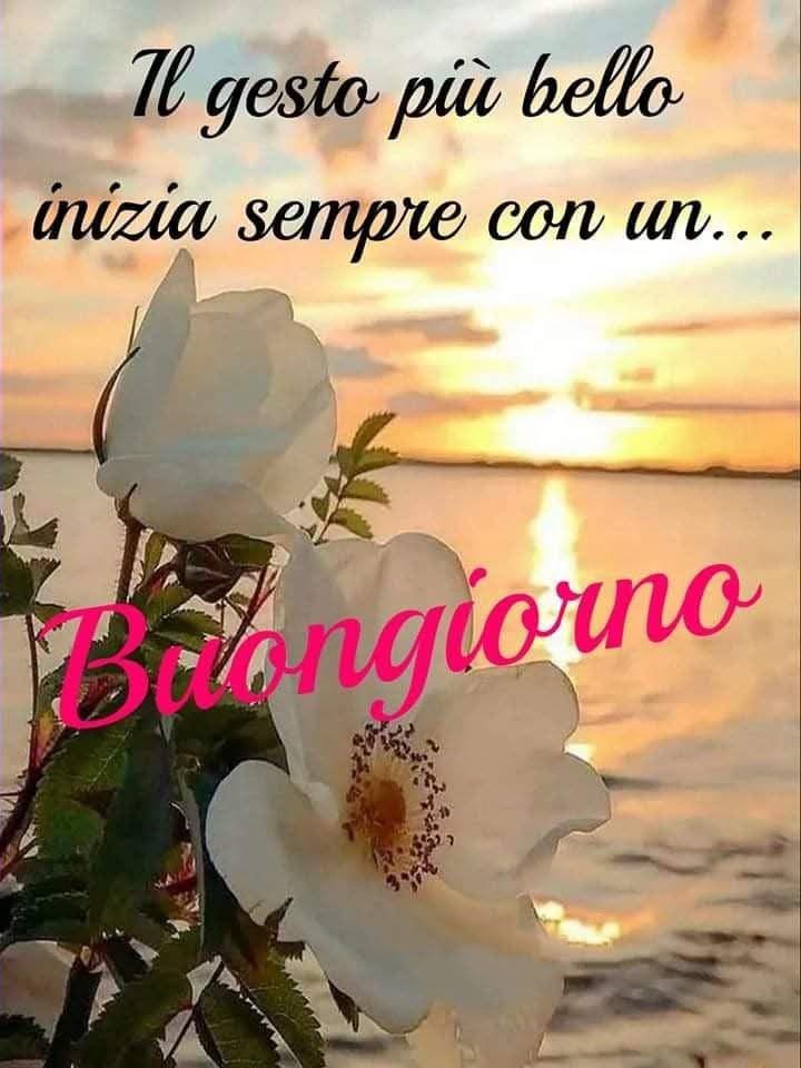 RITABIANCHi56 tweet media