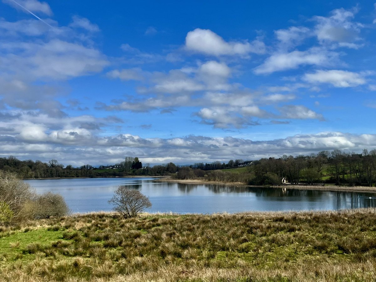 SeanRyanT's tweet image. #Killone #Clare #100daysofwalking #Sights &amp;amp; #Sounds #Nature @BioDataCentre #Wildflowers #Water #Birds 
heritage.clareheritage.org/places/reading… @ClareCoCo #TheEnchantedLake #Ireland #TheShannonEstuaryWay #WildAtlanticWay
