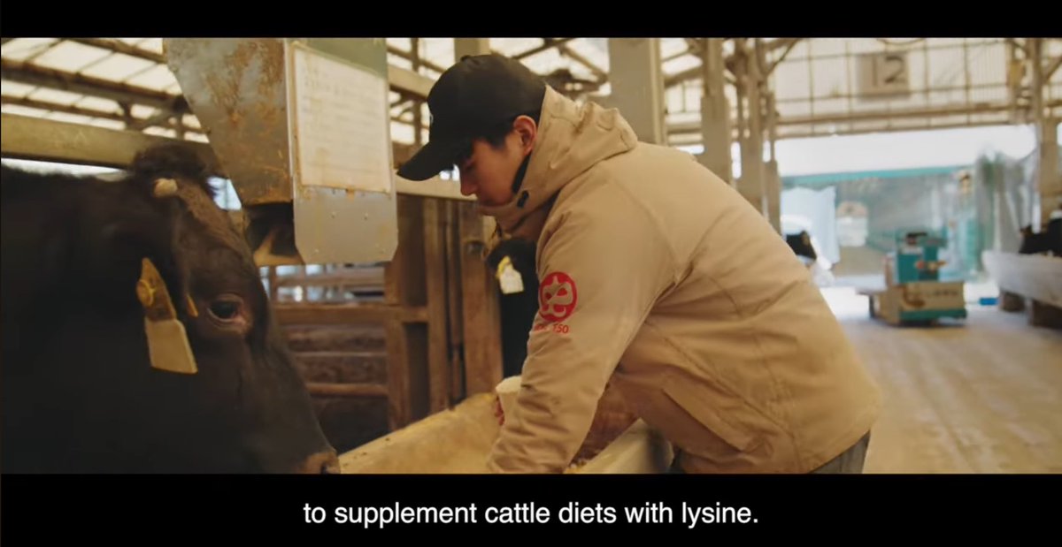 【政府国際広報動画に出演しました】

🌱「温室効果ガス」をテーマにした
政府広報動画が公開されました！
うしの中山も畜産農家として出演しています🐃

ぜひご覧ください！

発信元：内閣府大臣官房政府広報室

▶️ Prime Minister’s Office of Japan
youtube.com/watch?v=aEQRK_…

#温室効果ガス #SDGs