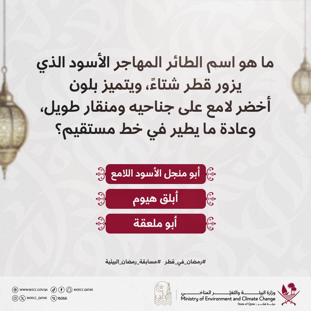 🌙

ما هو اسم الطائر المهاجر الأسود الذي يزور قطر شتاءً، ويتميز بلون أخضر لامع على جناحيه ومنقار طويل، وعادة ما يطير في خط مستقيم؟

3000 ريال يوميًا موزعة على 3 فائزين..

شارك معنا ولا تنسَ تطبيق شروط المشاركة في المسابقة كما هو موضح في منشور سابق على حسابات الوزارة

فالكم