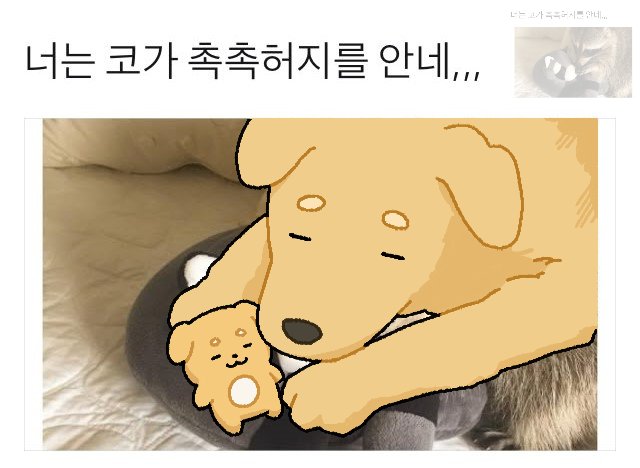 코가 촉촉허지를 안네,,,